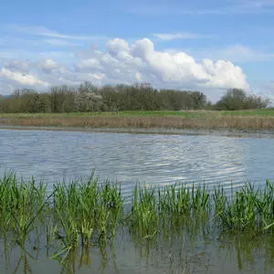 water resources header